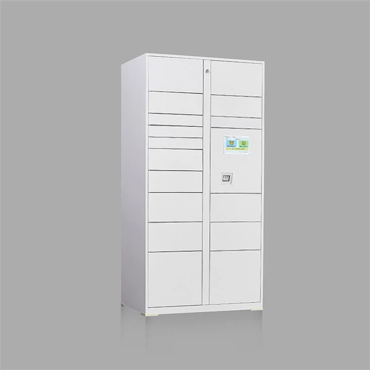 Parcel Delivery Locker